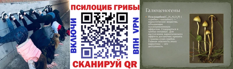 ссылка на мегу ТОР  наркошоп  Северская  Галлюциногенные грибы GOLDEN TEACHER 